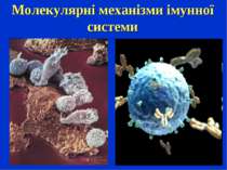 Молекулярні механізми імунної системи