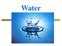 Water in Our Life