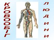 Поняття про систему кровообігу в організмі людини