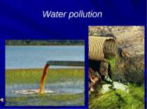 "Water pollution"