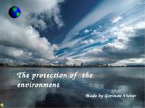 "The protection of the environment