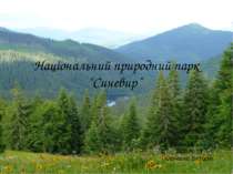 "Національний природний парк “Синевир”"
