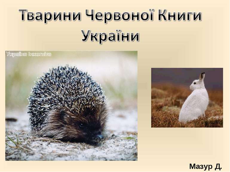 Скачать презентацію тварини червоної книги україни