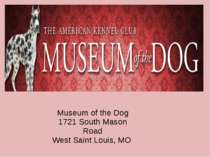 Museum of the Dog