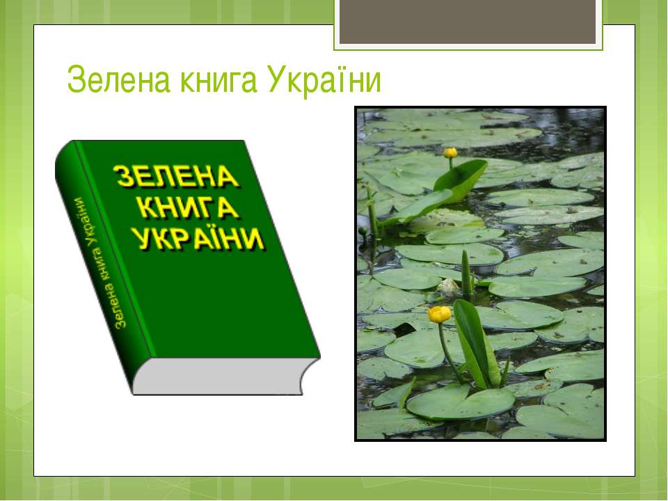 Зелена книга україни презентація скачать