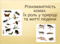 Різноманітність комах. Їх роль у природі та житті людини