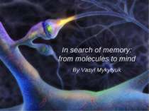 Molecular Biology of Memory