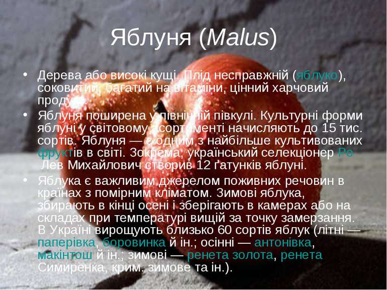 Яблуня (Malus) Дерева або високі кущі. Плід несправжній (яблуко), соковитий, ...