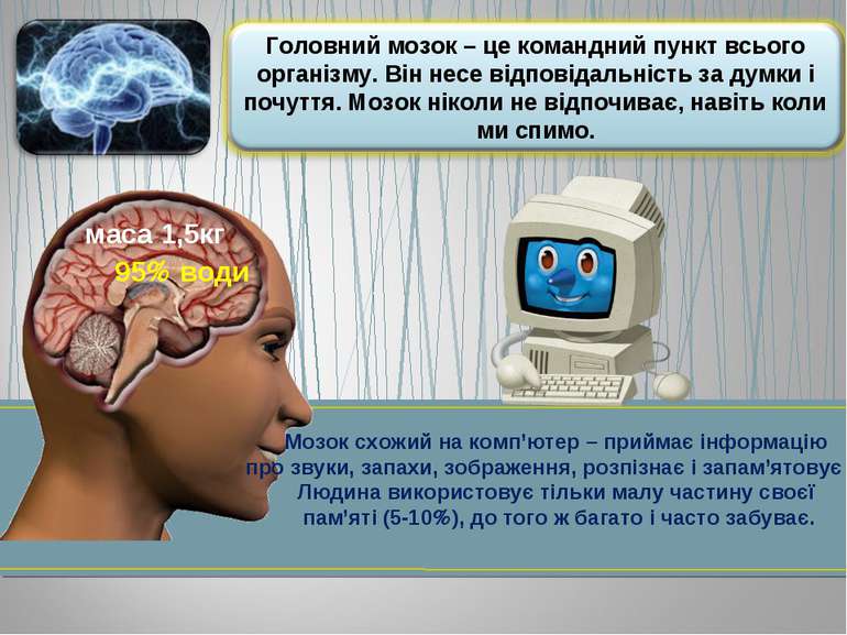 Мозок схожий на комп’ютер – приймає інформацію про звуки, запахи, зображення,...