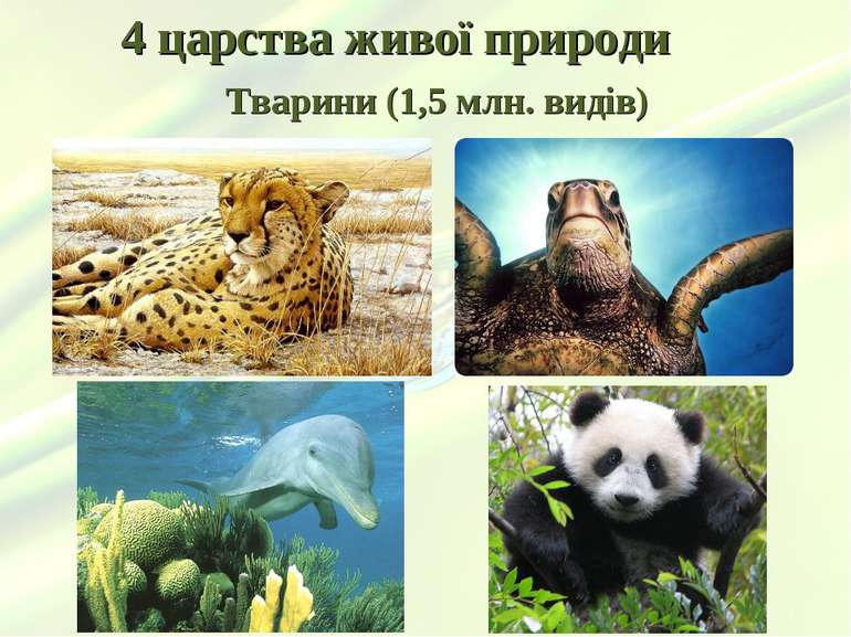 4 царства живої природи Тварини (1,5 млн. видів)