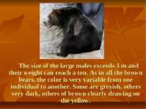 The size of the large males exceeds 3 m and their weight can reach a ton. As ...