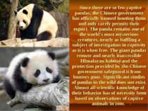 Since there are so few captive pandas, the Chinese government has officially ...