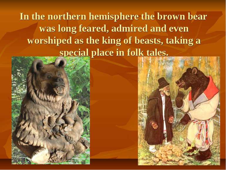 In the northern hemisphere the brown bear was long feared, admired and even w...