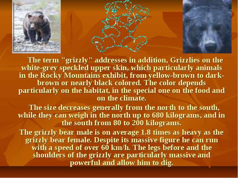 The term "grizzly" addresses in addition, Grizzlies on the white-grey speckle...