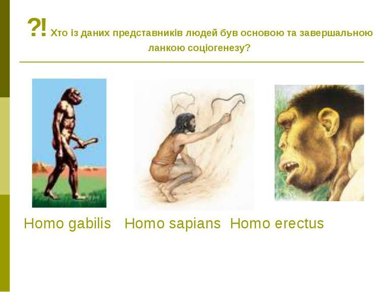 Homo gabilis Homo sapians Homo erectus ?! Хто із даних представників людей бу...
