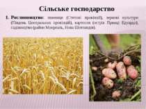 Сільське господарство Рослинництво: пшениця (Степові провінції), зернові куль...
