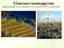 Сільське господарство Зернові культури – рис (І), пшениця (І) сх., гаолян, пр...