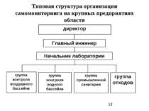 Типовая структура организации самомониторинга на крупных предприятиях области...