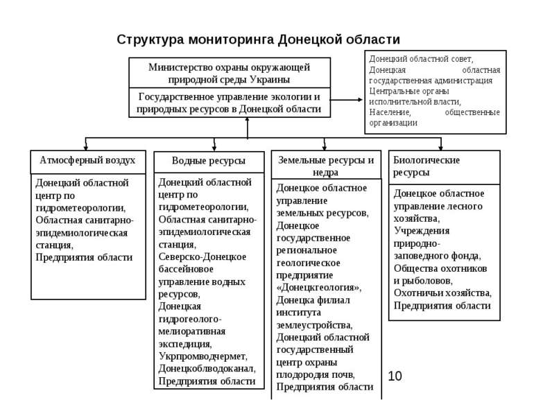 Структура мониторинга Донецкой области Государственное управление экологии и ...