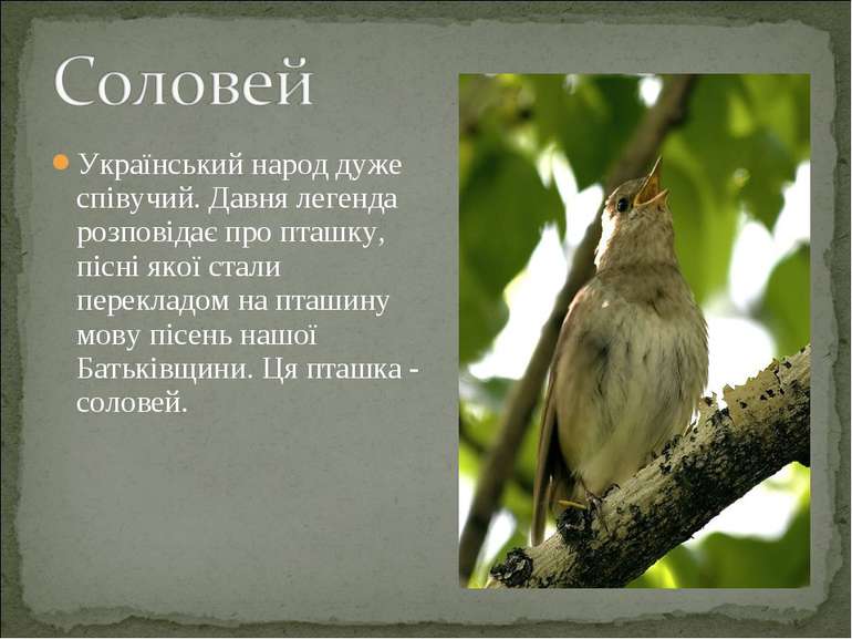 Український народ дуже співучий. Давня легенда розповідає про пташку, пісні я...