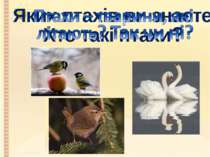 Яких птахів ви знаєте? Хто такі птахи?