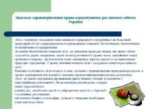 Загальна характеристика права користування рослинним світом України Ліси є ос...