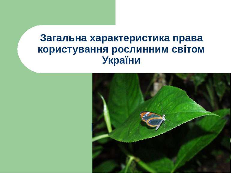 Загальна характеристика права користування рослинним світом України