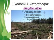 Екологічні катастрофи: вирубка лісів