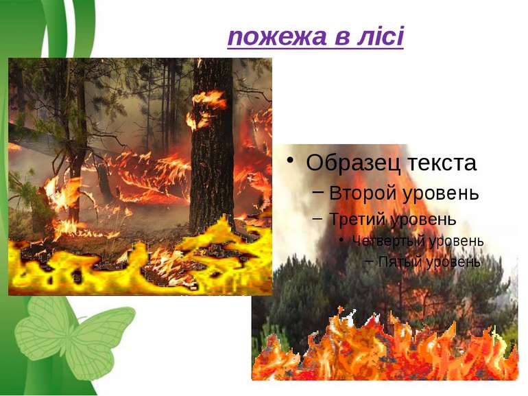 пожежа в лісі