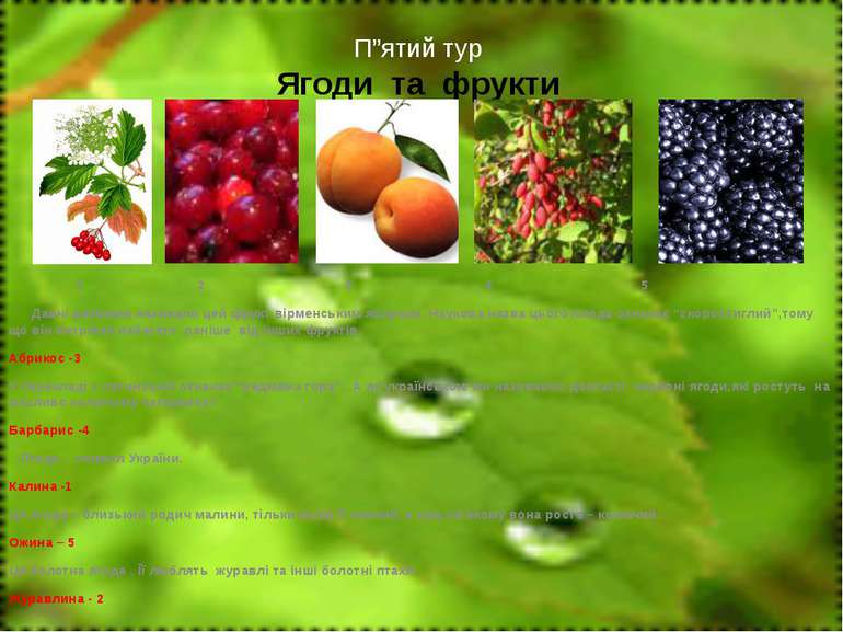 П”ятий тур Ягоди та фрукти 1 2 3 4 5 Давні римляни називали цей фрукт вірменс...