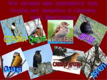 Ми хочемо вам розповісти про птахів, які зимують в нашому селі Дем’янівка