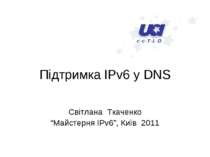 Підтримка IPv6 у DNS Світлана Ткаченко “Майстерня IPv6”, Київ 2011