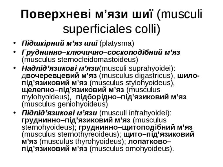 Поверхневі м’язи шиї (musculi superficiales colli) Підшкірний м’яз шиї (platy...