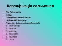Класифікація сальмонел Рід Salmonella Види: Salmonella choleraesuis Salmonell...