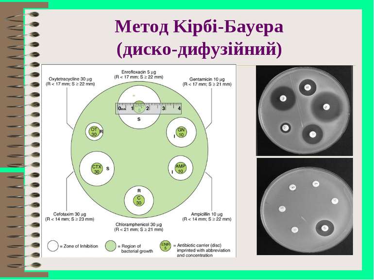 Метод Kірбі-Бауера (диско-дифузійний)