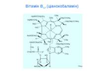 Вітамін В12 (ціанокобаламін)