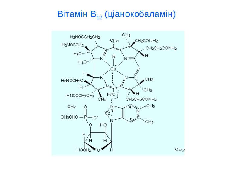 Вітамін В12 (ціанокобаламін)