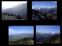 Гори “Приморський Кайкур” в зоні альпійських лугів (1200-1500 м над рівнем мо...