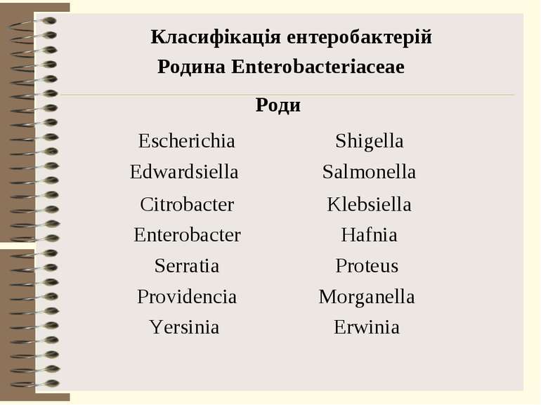 Класифікація ентеробактерій Родина Enterobacteriaceae Роди Escherichia Shigel...