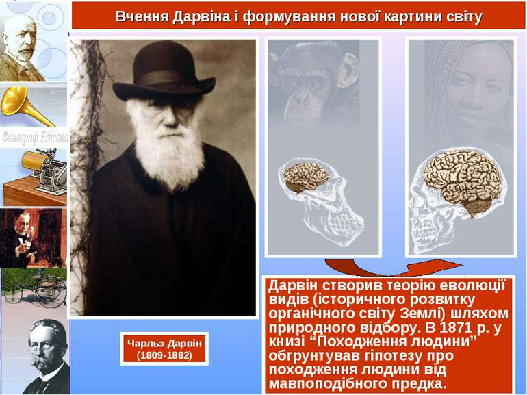 Дарвін створив теорію еволюції видів (історичного розвитку органічного світу ...