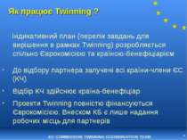 * Як працює Twinning ? Індикативний план (перелік завдань для вирішення в рам...