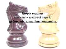Теорія виділяє  три етапи шахової партії: дебют, міттельшпіль і ендшпіль.