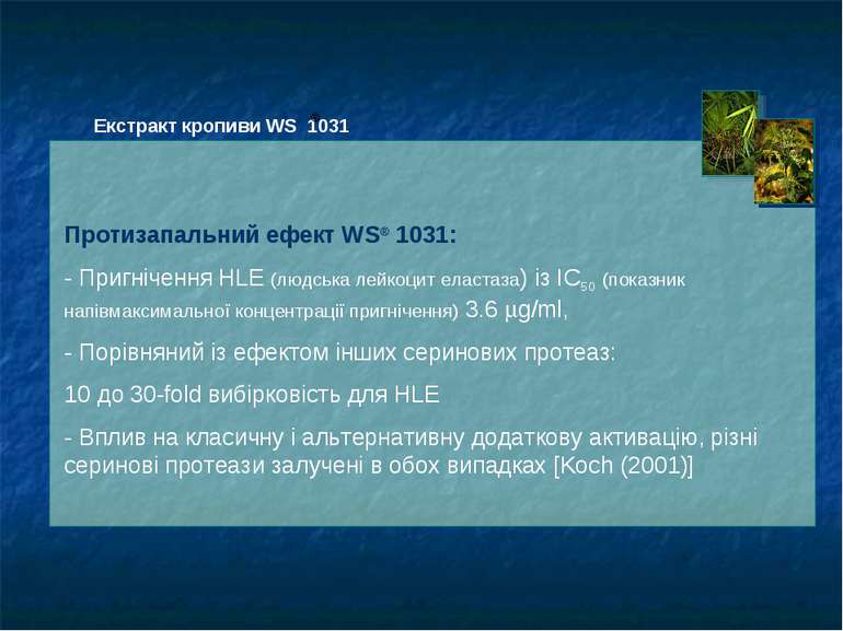 Протизапальний ефект WS® 1031: - Пригнічення HLE (людська лейкоцит еластаза) ...