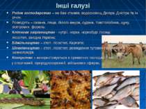 Інші галузі Рибне господарство – на базі ставків, водосховищ Дніпра, Дністра ...