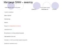 Матриця SNW – аналізу