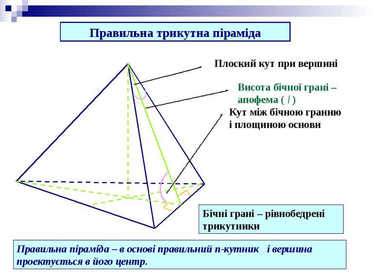 Правильна трикутна піраміда Висота бічної грані – апофема ( l ) Кут між бічно...