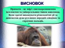 ВИСНОВОК Примати – це звірі з високорозвиненим інтелектом та універсальним ти...