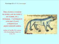 Physiologus (II ст. Р. Х.) Александрія Рись (Lynx) є схожою на вовка, але на ...