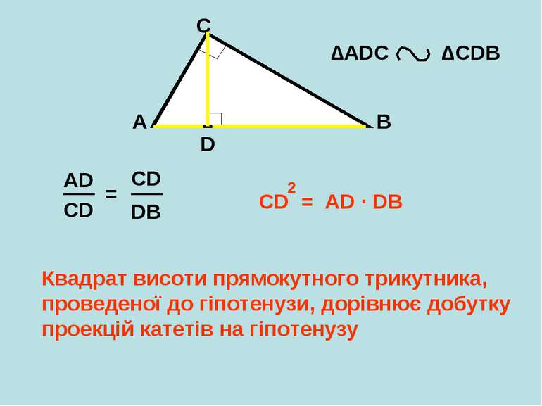 A B C D ∆АDС ∆CDB AD CD = CD = AD ∙ DB 2 Квадрат висоти прямокутного трикутни...