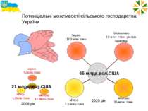 Потенціальні можливості сільського господарства України 2008 рік 2020 рік Біо...